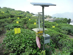 农药， 那些事儿