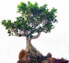 环境温度低了 要赶紧搬家