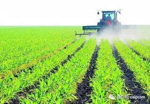 创业之路：从自行车到剥籽机