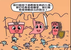 非瘟防控中，四大屏障与六大关键动作如何构筑防控防线？