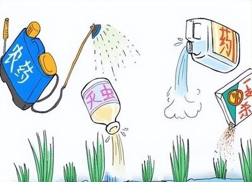 具体步骤