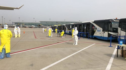 江西吉安口岸截获法国野燕麦等10种有害杂草种子