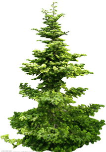 价格分析：贵不贵？