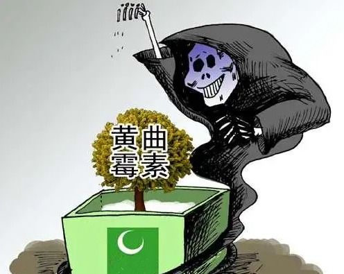 世界卫生组织，是不是在胡说？