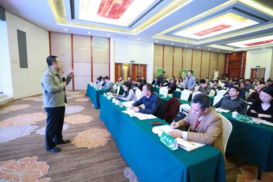 湖南启动“中国油茶科创谷”建设，推动地方茶叶产业升级