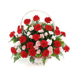 黄色康乃馨（春日绽放）的花语是什么