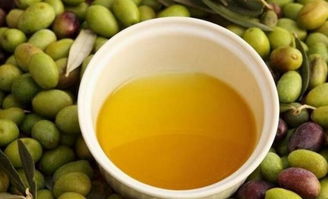 山茶油：如何凉拌，提升茶叶风味？