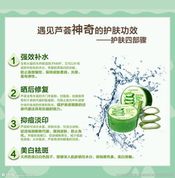 芦荟护肤？效果真的那么神奇吗