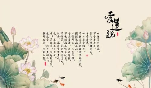 隐逸者之花，何处寻芳