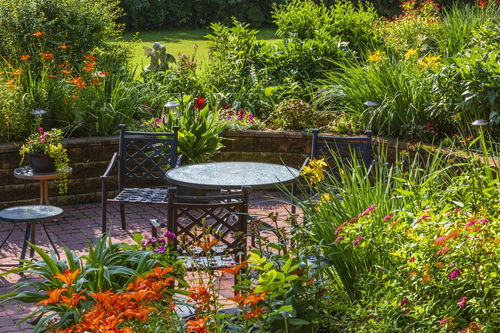 园林树木在绿化中的重要性