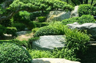 风景园林专业：热门与就业前景