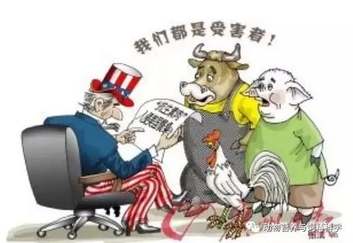 植物精油饲料添加剂有哪些种类？它们在饲料中具体有哪些作用？