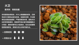 第二步：小心地剪下来