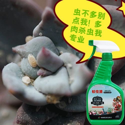 杀虫剂的使用小贴士：