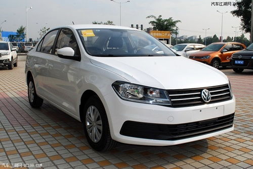 白皮松的价格探秘：2025年的行情展望