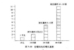 猪的新陈代谢旺盛，生长速度快