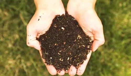 了解植物， 像了解你的孩子