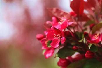 后期处理也不可少