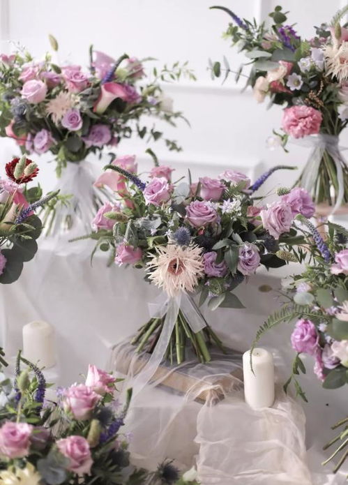 非洲菊的鲜切花营养补充