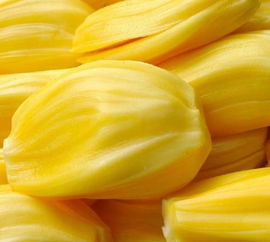 徐闻县特产水果，爆款花卉小吃，一县多宝