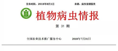 第二代粘虫，悄然来袭