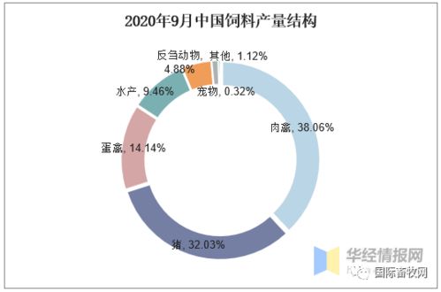 2026年山东饲料产量如何？济宁市饲料行业发展趋势分析？