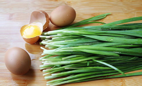 五月惠州蔬菜种植小贴士