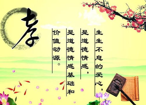 花语传情，敬老人如花，敬老之美尽展！