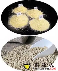 母猪饲料粉碎粒度标准是多少？对生产性能有影响吗？