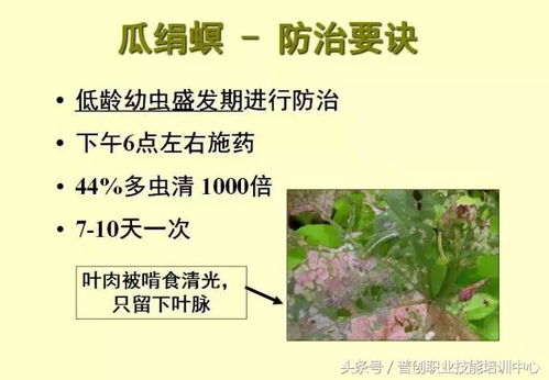 不同阶段的防治方法