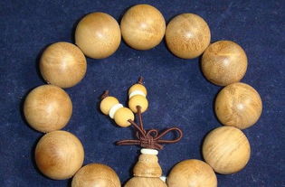 虎皮楠：清热解毒，活血散瘀