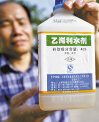 乙烯利催熟香蕉时40克用量具体怎么均匀喷洒在香蕉上？