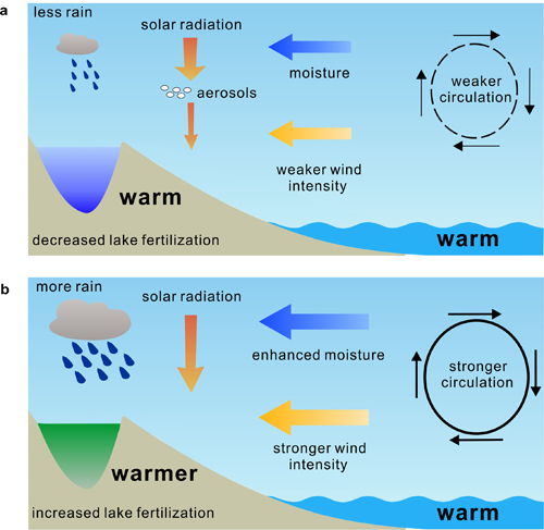 苏州植物在广东气候下嫩种植吗？