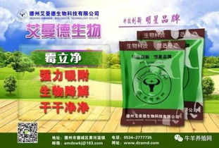 沈阳领先饲料在辽宁饲料排行榜上排名如何？