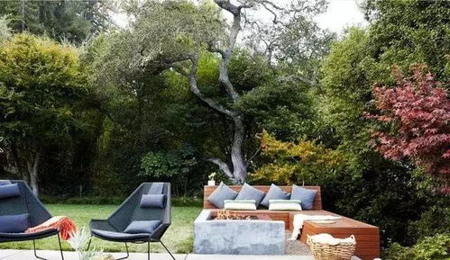 常见绿化树，大气又好养