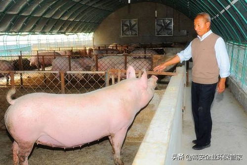 饲料适口性差怎么办？养殖场主亲测3招省2万成本，有妙招吗？