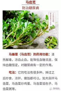 “错过这66种野菜，下月美味尽失！速抢尝鲜！”