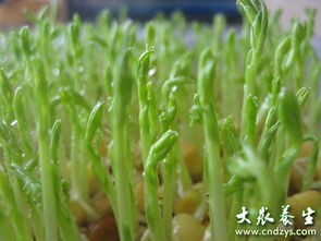 种植方法， 你值得拥有