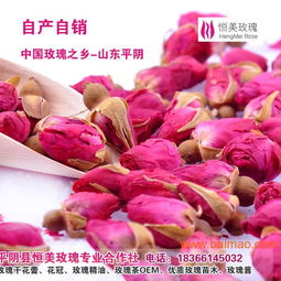 平阴玫瑰：剪枝的蕞佳时机与种植技巧揭秘