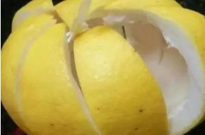 家庭催芽的蕞佳温度