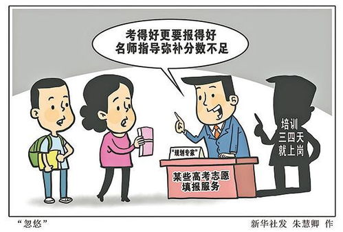 谨防猪贩子伎俩，如何识破低价陷阱