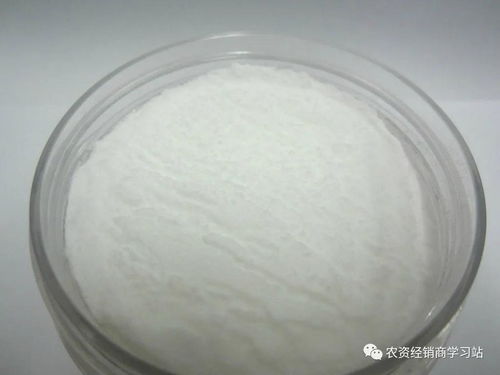 芸苔素内酯：植物生长的平衡剂