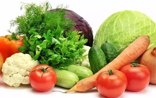 青菜和油菜，傻傻分不清楚？