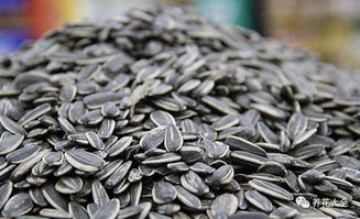 红瓜子花源地揭秘，产地精选，养眼必备！