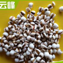 新手防坑三步走