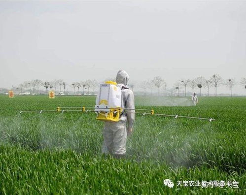 百草枯，不Neng吃哦