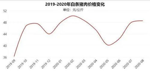近期重庆猪价分析，根据当前走势，未来猪价是否会迎来上涨呢？
