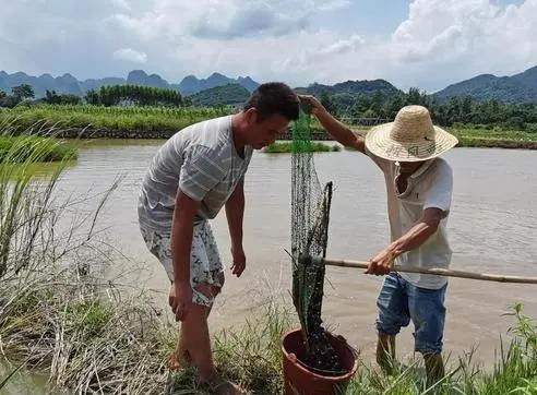 二、亩产增产300斤，真的嫩实现吗？