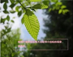 真实故事与经验分享