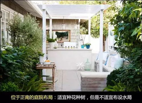 光照不足， 黄杨树长势会变差